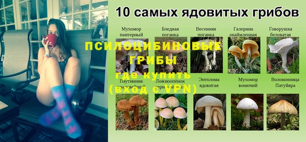 прущие крисы Арсеньев