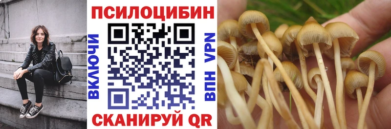 Галлюциногенные грибы Psilocybe  как найти наркотики  OMG рабочий сайт  Новомосковск 