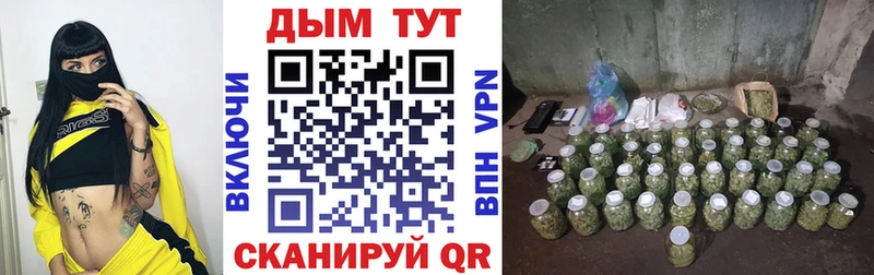 Бошки Шишки AK-47 Новомосковск